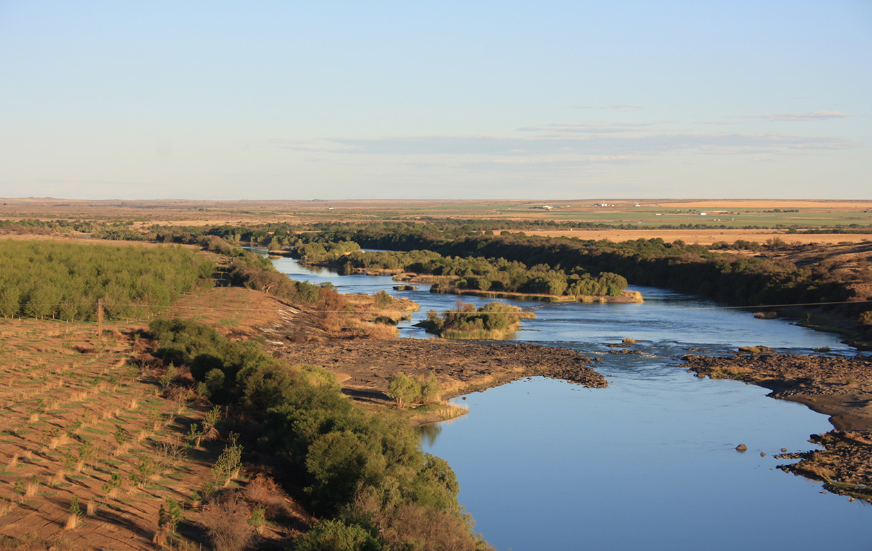 農地・栽培について