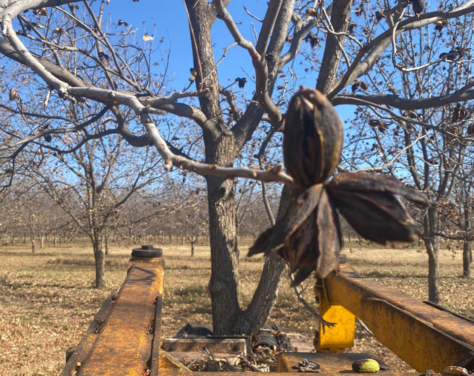 工場・加工について