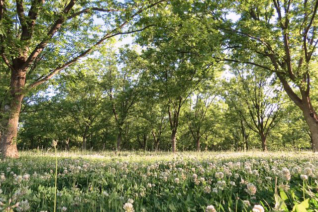 社会への取り組みについて