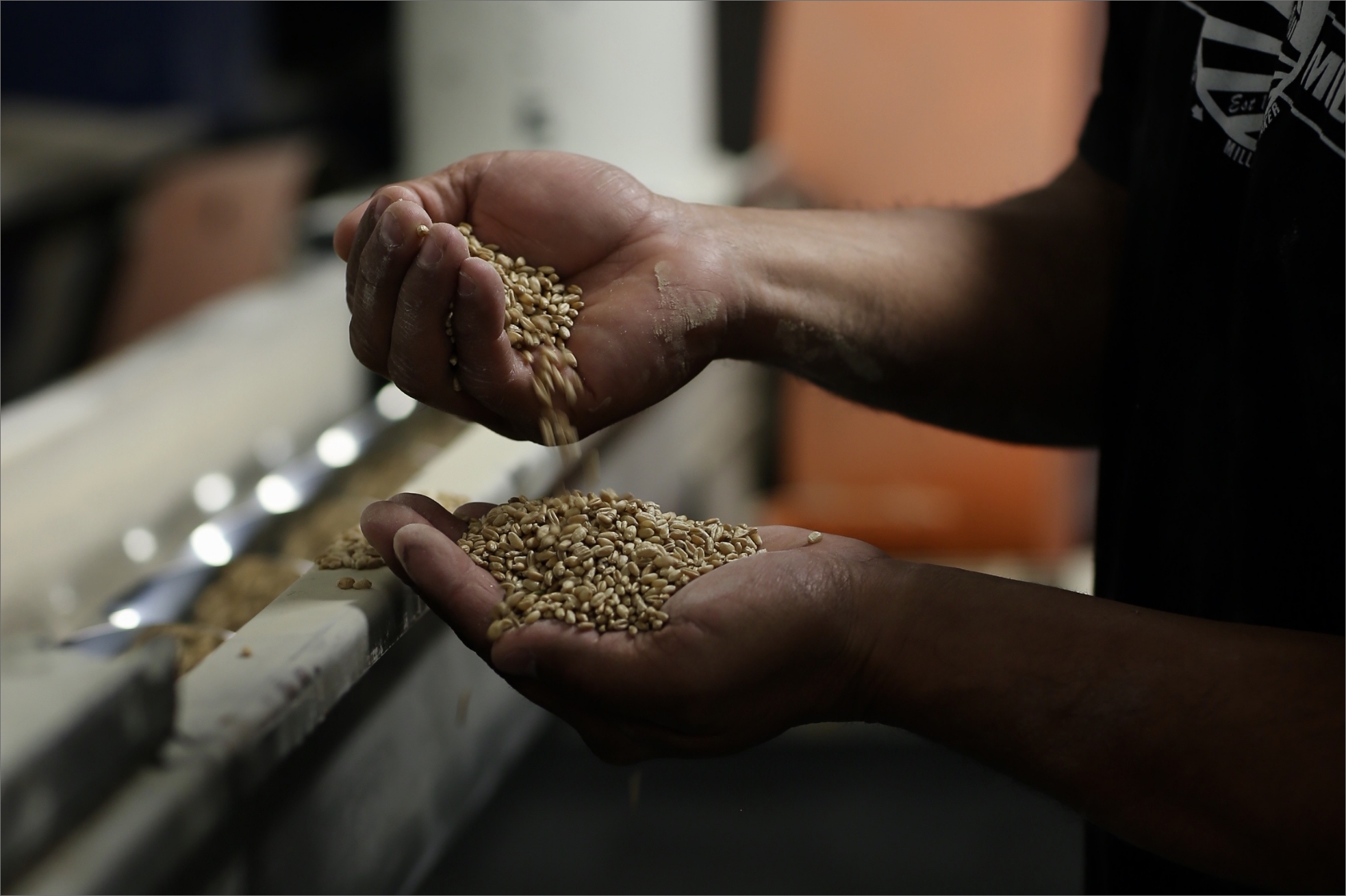 工場・加工について